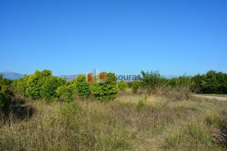 Αγροτεμάχια 7.500τ.μ. για πώληση-Άργος