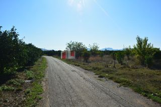 Αγροτεμάχια 7.500 τ.μ. για πώληση, Αργολίδα, Άργος-thumb-5