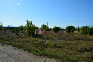 Αγροτεμάχια 7.500 τ.μ. για πώληση, Αργολίδα, Άργος-thumb-6