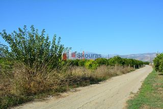 Αγροτεμάχια 7.500 τ.μ. για πώληση, Αργολίδα, Άργος-thumb-4