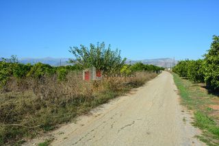 Αγροτεμάχια 7.500 τ.μ. για πώληση, Αργολίδα, Άργος-thumb-3