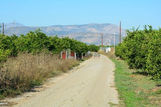 Αγροτεμάχια 7.500 τ.μ. για πώληση, Αργολίδα, Άργος-thumb-8
