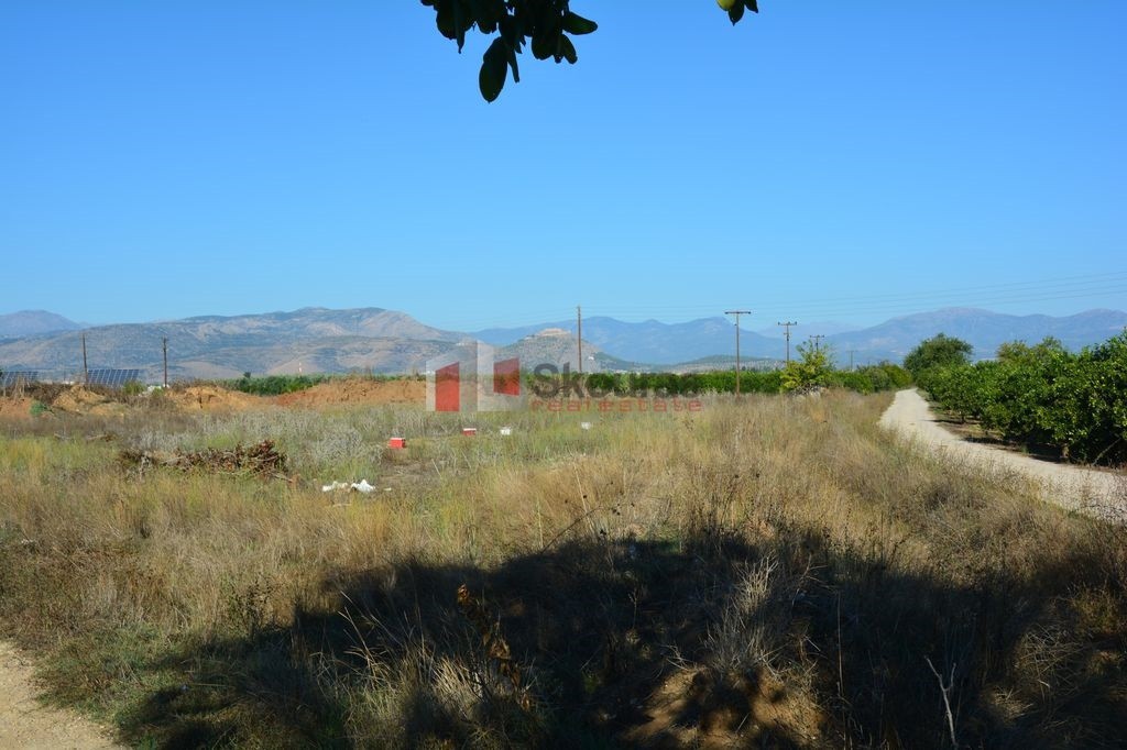 Αγροτεμάχια 5.500 τ.μ. προς πώληση, Νέα Κίος