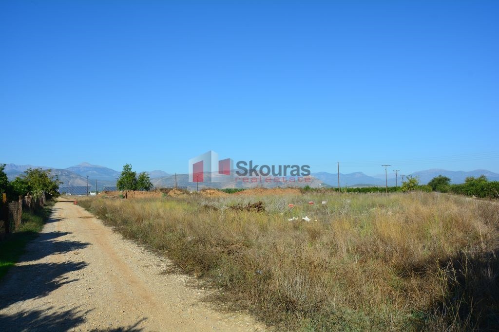 Αγροτεμάχια 5.500 τ.μ. προς πώληση, Νέα Κίος