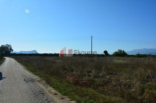 Αγροτεμάχια 5.500 τ.μ. για πώληση, Αργολίδα, Νέα Κίος-thumb-18