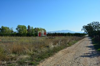 Αγροτεμάχια 5.500 τ.μ. για πώληση, Αργολίδα, Νέα Κίος-thumb-10
