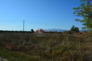 Αγροτεμάχια 5.500 τ.μ. για πώληση, Αργολίδα, Νέα Κίος-thumb-19