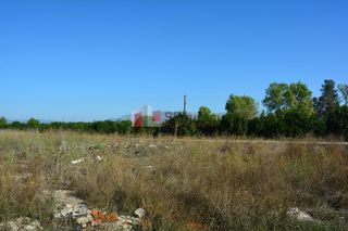 Αγροτεμάχια 5.500 τ.μ. για πώληση, Αργολίδα, Νέα Κίος-thumb-8