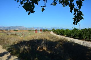 Αγροτεμάχια 5.500 τ.μ. για πώληση, Αργολίδα, Νέα Κίος-thumb-23