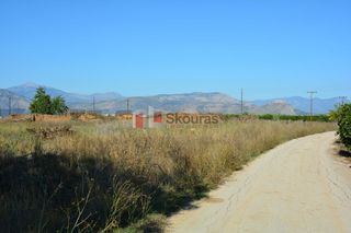 Αγροτεμάχια 5.500 τ.μ. για πώληση, Αργολίδα, Νέα Κίος-thumb-14