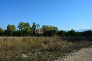 Αγροτεμάχια 5.500 τ.μ. για πώληση, Αργολίδα, Νέα Κίος-thumb-7