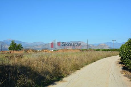 Αγροτεμάχια 5.500τ.μ. για πώληση-Νέα κίος