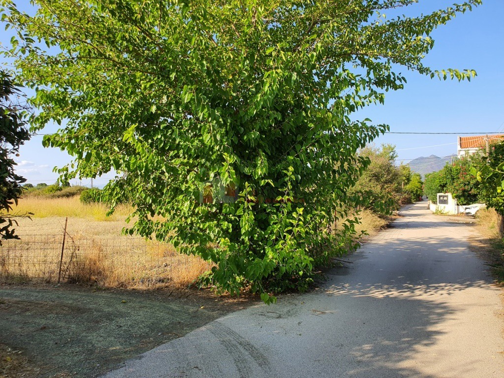 Αγροτεμάχια 2.500 τ.μ. προς πώληση, Καλλονή Τροιζήνας