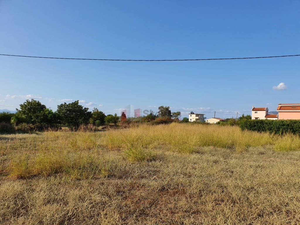 Αγροτεμάχια 2.500 τ.μ. προς πώληση, Καλλονή Τροιζήνας