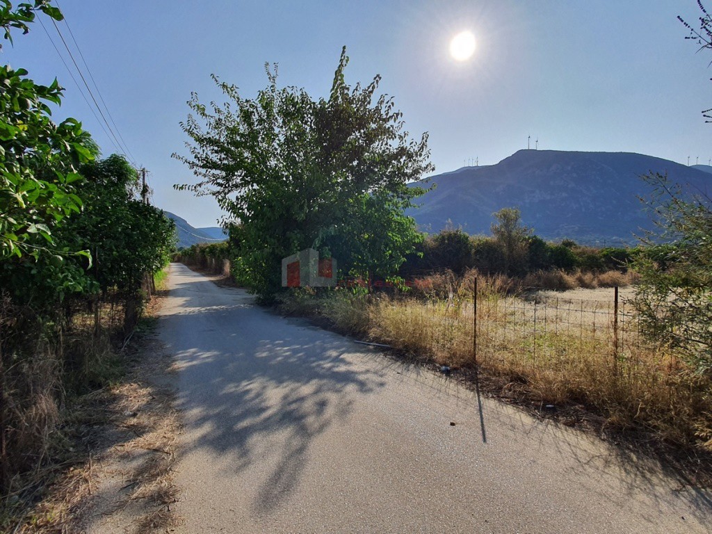 Αγροτεμάχια 2.500 τ.μ. προς πώληση, Καλλονή Τροιζήνας