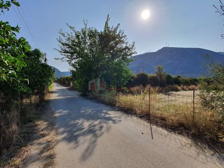 Αγροτεμάχια 2.500τ.μ. για πώληση-Τροιζήνα