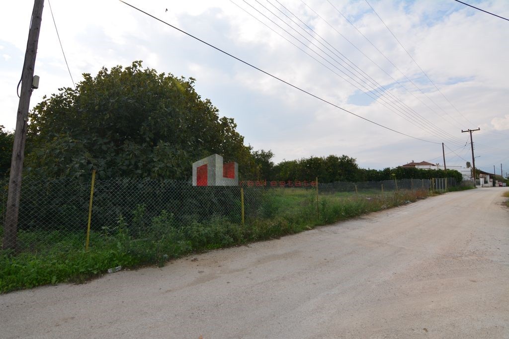 Αγροτεμάχια 14.500 τ.μ. προς πώληση, Αργολικό