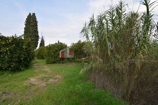 Αγροτεμάχια 14.500 τ.μ. για πώληση, Αργολίδα, Μιδέα-thumb-14