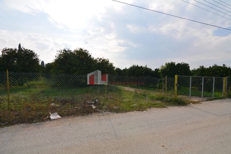 Αγροτεμάχια 14.500τ.μ. για πώληση-Μιδέα