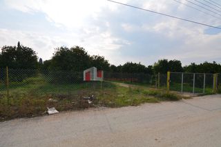Αγροτεμάχια 14.500 τ.μ. για πώληση