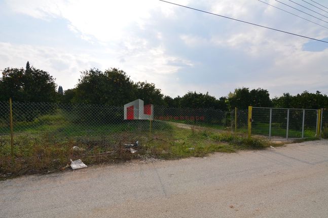 Αγροτεμάχια 14.500 τ.μ. για πώληση, Αργολίδα, Μιδέα