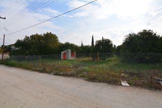 Αγροτεμάχια 14.500 τ.μ. για πώληση, Αργολίδα, Μιδέα-thumb-10
