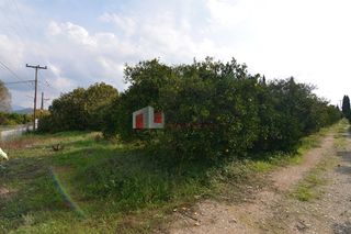 Αγροτεμάχια 14.500 τ.μ. για πώληση, Αργολίδα, Μιδέα-thumb-2
