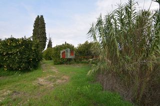 Αγροτεμάχια 14.500 τ.μ. για πώληση, Αργολίδα, Μιδέα-thumb-11