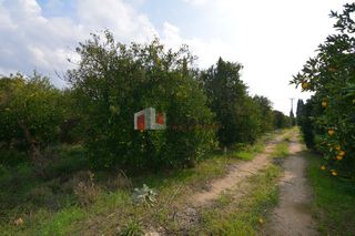 Αγροτεμάχια 14.500 τ.μ. για πώληση, Αργολίδα, Μιδέα-thumb-16