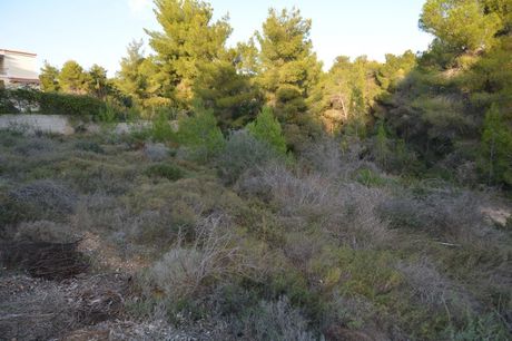 Οικόπεδο 1.046τ.μ. για πώληση-Κρανίδι