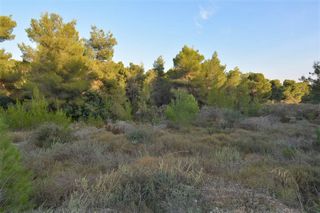 Οικόπεδο 1.046 τ.μ. για πώληση, Αργολίδα, Κρανίδι-thumb-11
