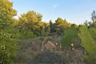 Οικόπεδο 1.046 τ.μ. για πώληση, Αργολίδα, Κρανίδι-thumb-12