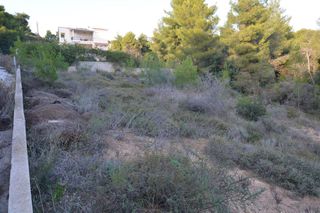 Οικόπεδο 1.046 τ.μ. για πώληση, Αργολίδα, Κρανίδι-thumb-3