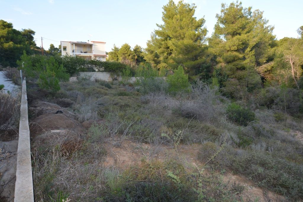 Οικόπεδο 1.046 τ.μ. προς πώληση, Κόστα