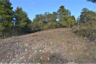Οικόπεδο 1.080 τ.μ. για πώληση, Αργολίδα, Κρανίδι-thumb-5
