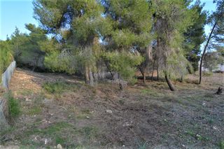 Οικόπεδο 1.080 τ.μ. για πώληση, Αργολίδα, Κρανίδι-thumb-8