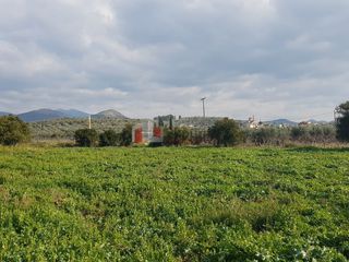 Αγροτεμάχια 5.000 τ.μ. για πώληση, Αργολίδα, Μιδέα-thumb-10