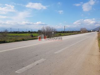 Αγροτεμάχια 5.000 τ.μ. για πώληση, Αργολίδα, Μιδέα-thumb-4