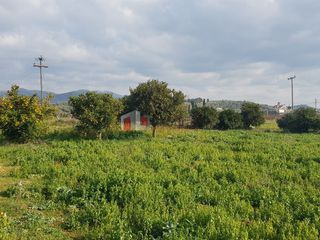 Αγροτεμάχια 5.000 τ.μ. για πώληση, Αργολίδα, Μιδέα-thumb-8