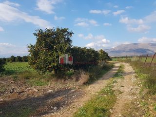 Αγροτεμάχια 5.000 τ.μ. για πώληση, Αργολίδα, Μιδέα-thumb-18