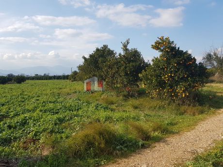 Αγροτεμάχια 5.000τ.μ. για πώληση-Μιδέα