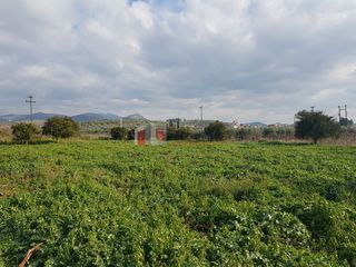 Αγροτεμάχια 5.000 τ.μ. για πώληση, Αργολίδα, Μιδέα-thumb-11