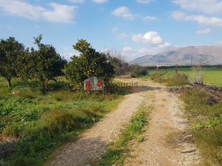 Αγροτεμάχια 5.000 τ.μ. για πώληση, Αργολίδα, Μιδέα-thumb-5