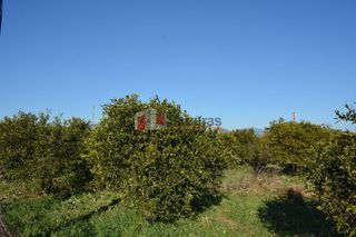 Αγροτεμάχια 7.500 τ.μ. για πώληση, Αργολίδα, Νέα Κίος-thumb-10