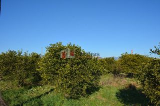 Αγροτεμάχια 7.500 τ.μ. για πώληση, Αργολίδα, Νέα Κίος-thumb-21