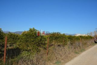 Αγροτεμάχια 7.500 τ.μ. για πώληση, Αργολίδα, Νέα Κίος-thumb-18