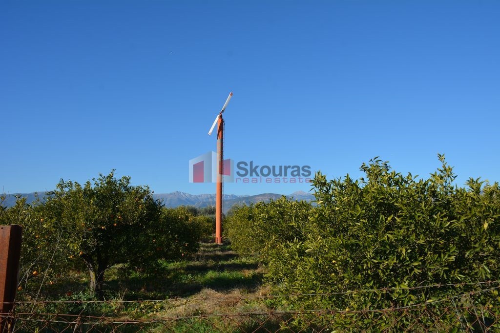 Αγροτεμάχια 7.500 τ.μ. προς πώληση, Νέα Κίος