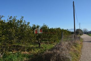 Αγροτεμάχια 7.500 τ.μ. για πώληση, Αργολίδα, Νέα Κίος-thumb-14