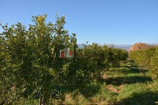 Αγροτεμάχια 7.500 τ.μ. για πώληση, Αργολίδα, Νέα Κίος-thumb-5