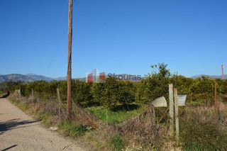 Αγροτεμάχια 7.500 τ.μ. για πώληση, Αργολίδα, Νέα Κίος-thumb-13